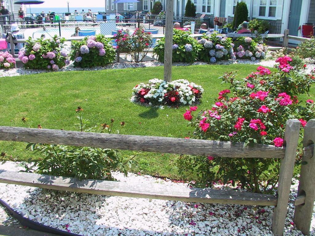 דניס פורט The Colony Beach Motel מראה חיצוני תמונה
